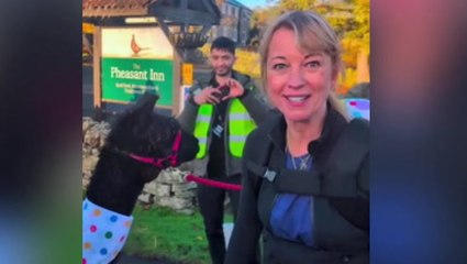 Sara Cox gets good luck kiss from alpaca for huge Children in Need challenge