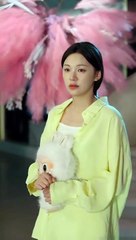 Mafia Boss & His Contract Wife Chinese Drama - English Sub