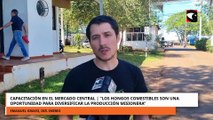 Capacitación en el mercado Central sobre Hongos comestibles