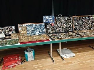 2 ème  Salon du Pins Vitry sur Orne le 09-11-2025