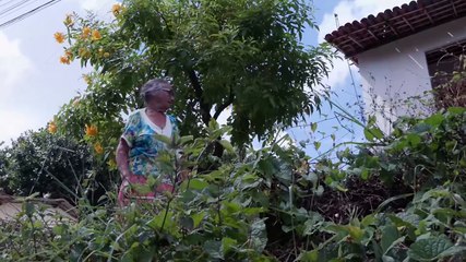 Desafios de Mobilidade em Águas Compridas, Olinda: Buracos e Falta de Calçamento Comprometem Vida dos Moradores