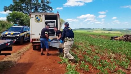 Corpo de suspeito morto em capotamento durante perseguição na BR-369 é recolhido sem identificação