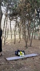 Emily unexpectedly inherits a huge fortune and is determined to uncover the truth. #drama - YouTube