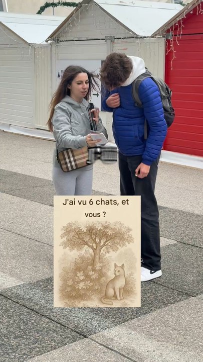 Combien de chats ?