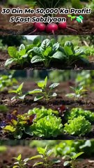 Murgiyo Ka Wajan Badhane Ka Raaz 🐔 | Aasan Gharelu Nuskhe + Scientific Tips | #murgipalan #anas