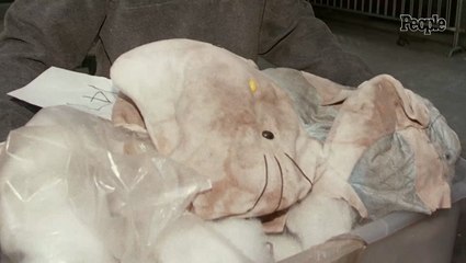 Teen Told Police She Was Haunted by a Ghost — Then a Tortured Woman’s Skull Was Found in a Hello Kitty Doll