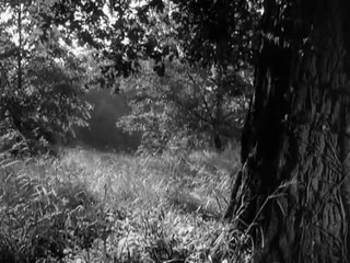 Alice In Wonderland 1966