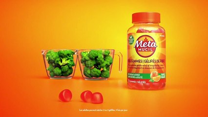 TVA Nouvelles CIMT 12h 10 novembre 2025