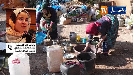 الصحراء الغربية: فضائح المخزن في نهب ثروات الصحراويين.. حديث الإعلام البريطاني