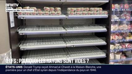Pourquoi les œufs manquent dans les rayons ?