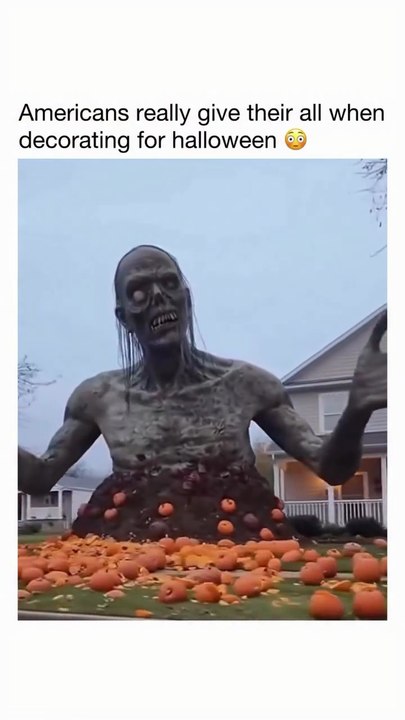 This is insane