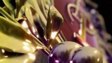 Linden Place Animated TVC by Mediafreaks