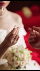 Rosa De Papel, CorazóN Roto