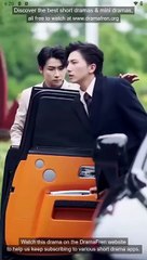 Hidden Healer Secret Wife Chinese Drama - English Sub