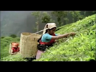 Nestea 2009 TV3 Reklam