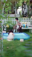 Gadis Pengemis Diadopsi 4 Paman CEO | Orphan Girl Adopted By 4 CEO Uncle | Drama China | SUB INDO