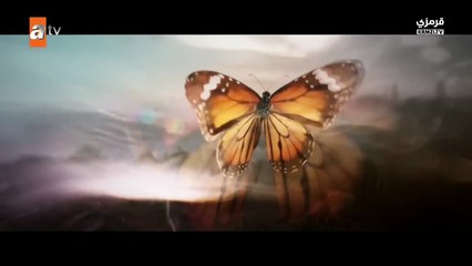 مسلسل غريب في المرآة الحلقة 9 مترجمة للعربية القسم 1