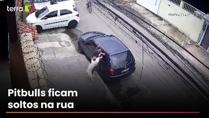 Mulher é atacada por pitbulls no Rio