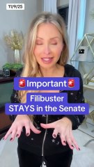 Senate Government Shutdown Deal- What Democrats Gave Up