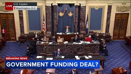 Enough Senate Democrats vote with Republicans to break government shutdown impasse - YouTube