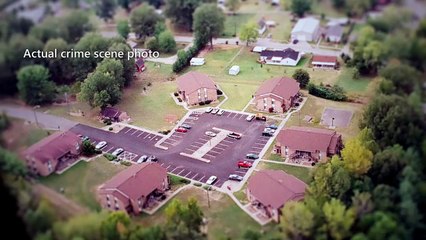 LOBO EM PELE DE CORDEIRO - O MÉDICO P3DÓFILO - T01EP05 - ID