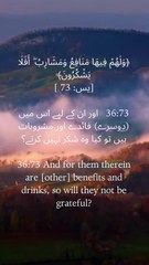 ✨ “He gave us countless blessings — comfort, provision, and peace… yet gratitude is the key we often forget.” #BeGrateful #QuranReflection #Yaseen #DivineBlessings #FaithJourney #IslamicReminder