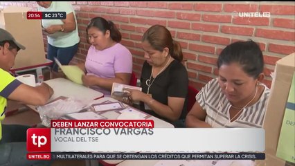 Vocal del TSE pide a la ALP priorizar ley para convocar elecciones subnacionales antes de fin de mes