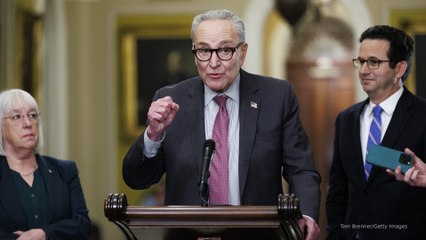 Some Democrats call for Schumer to step down amid latest deal to reopen government