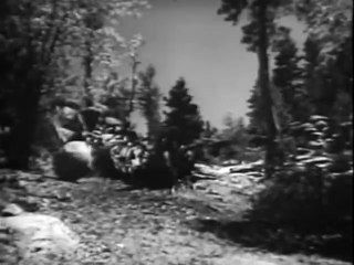 Riders of the Whistling Pines (1949) – Classic Western Adventure
