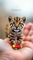 Baby Jaguar or Tiger Cub_ 🐆🤔🐅 #shorts #short #viral #viralvideo #animals #cuteanimals #shortvideo