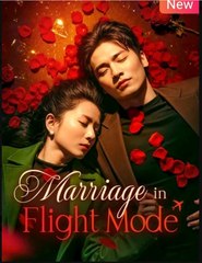 Marriage In Flight Mode