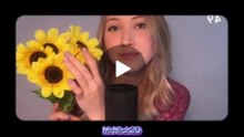 100 Sonidos En 10 Minutos ✨️ ASMR ✨️