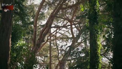 HD 110 الأسيرة - مدبلج الحلقة