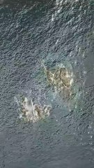 digistore24 products links Bio Twitter click Here buy now