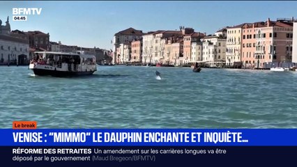 Le break du mardi 11 novembre