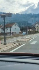 # une.  MG. de 550.  CV.  #. lulu du jura