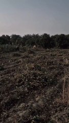 Namaz Ko Zaya...| Quran | #Allah #wahied #quran #Namaz