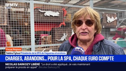 Focus Régions - 11/11