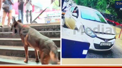 പൊട്ടിത്തെറിച്ച കാർ ഡൽഹിയിലേക്ക് കടന്നത് ബദർപൂർ ബോർഡർ വഴി; ഇതുവരെ ചോദ്യം ചെയ്തത് 13 പേരെ