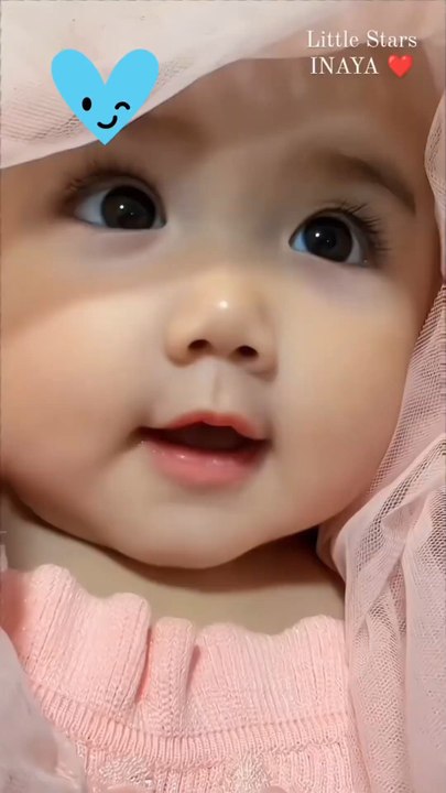 funny videos 😂