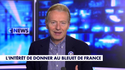 La chronique éco : «L'intérêt de donner au Bleuet de France»