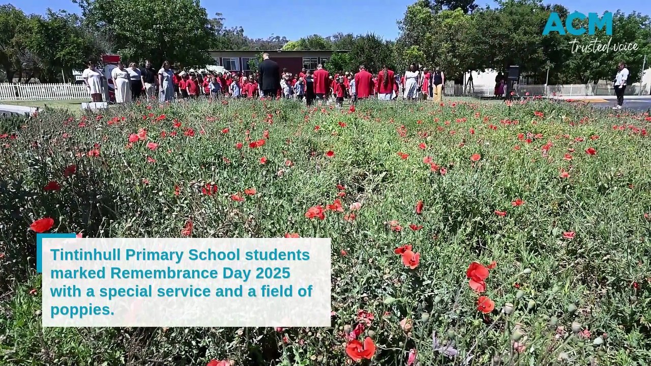 Tintinhull Primary School Remembrance Day 2025