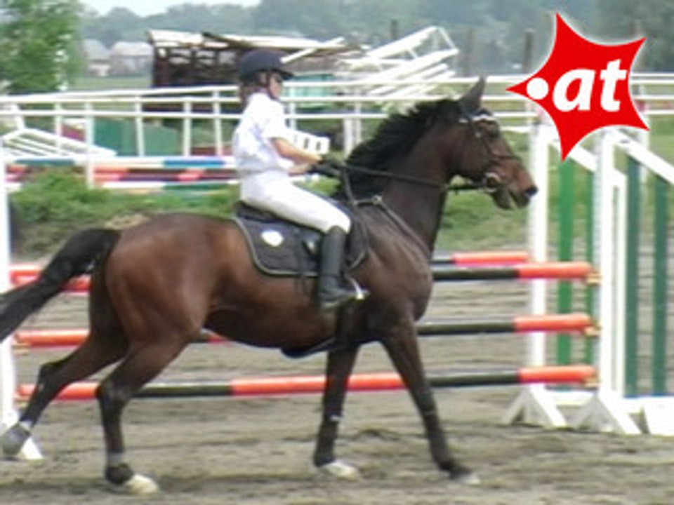 Birgit Zöchmeister, Springreiten, Kottingbrunn (2008-011)