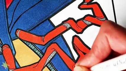 Spider-man VS Hulk - Superhero Cartoon