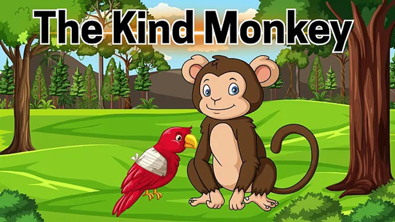 The Kind Monkey