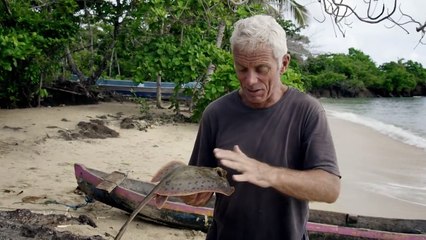 River Monsters S09E03 Coral Reef Killer