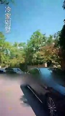 [ENG SUB]80s Sweet Pet- Agent Wife Flees, Tycoon Chases Madly