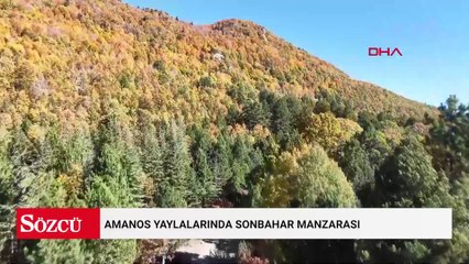 Amanos yaylalarında sonbahar manzarası