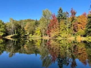 İstanbul’u canlı bitki müzesi: Sonbahar renkleri Atatürk Arboretumu’nda