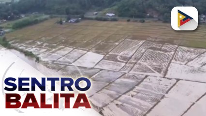 Nasa P1-B tulong sa mga nasalantang magsasaka at mangingisda, nakahanda ayon sa D.A.